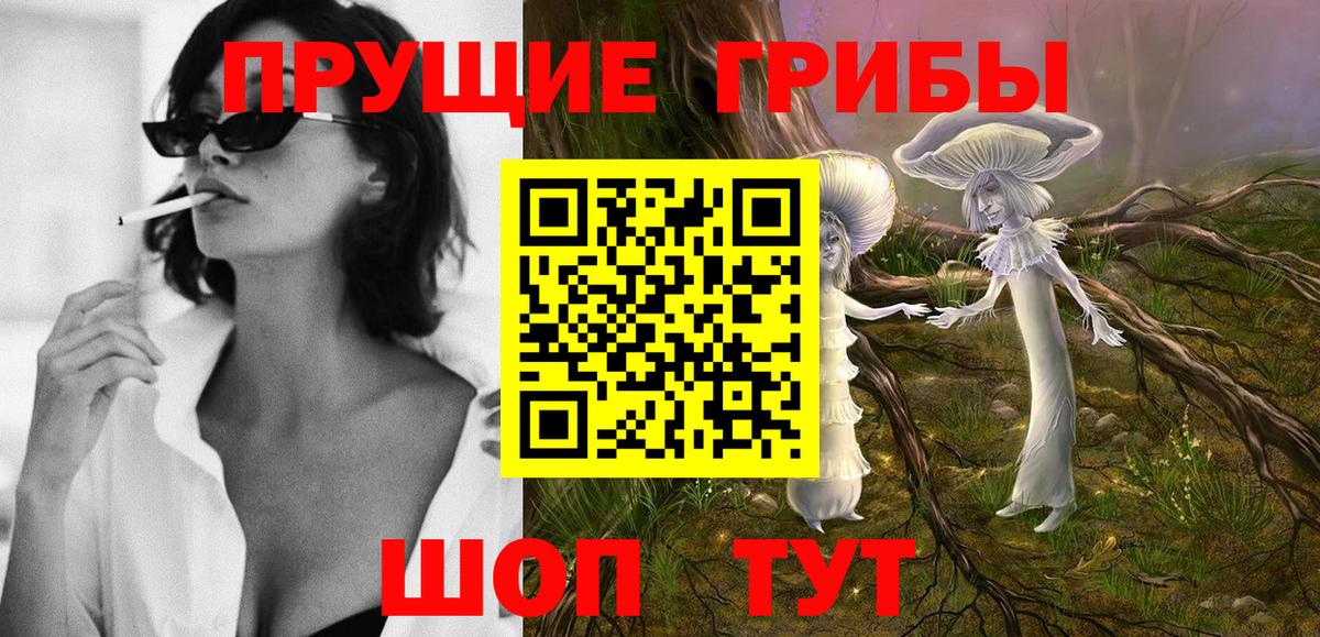 Раменское  Псилоцибиновые грибы MAGIC MUSHROOMS  Вход с VPN  Псилоцибиновые грибы прущие грибы 
