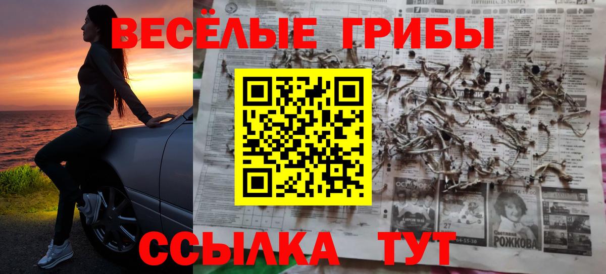 Псилоцибиновые грибы прущие грибы Раменское